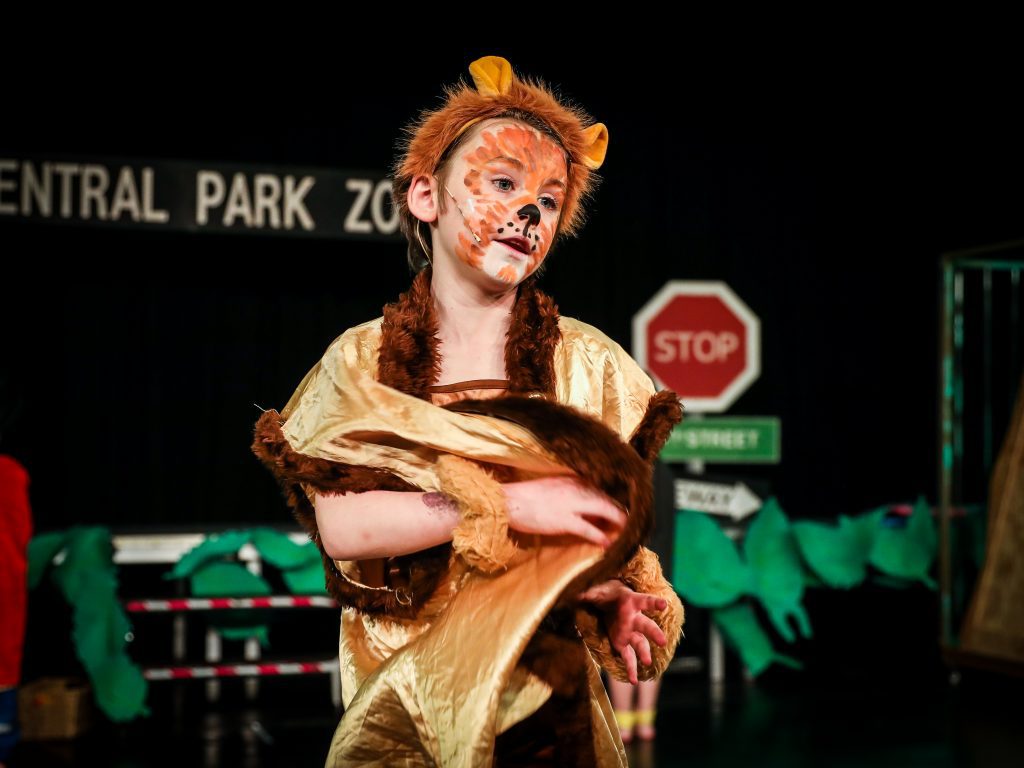 Child in lion costume on stage