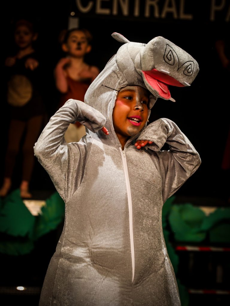 Person in gray hippo costume